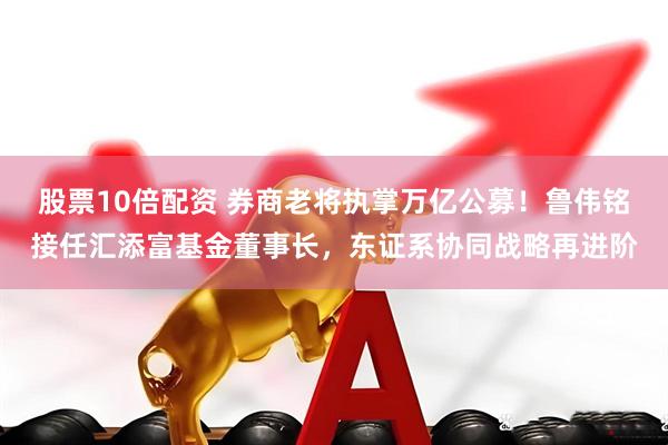 股票10倍配资 券商老将执掌万亿公募！鲁伟铭接任汇添富基金董事长，东证系协同战略再进阶