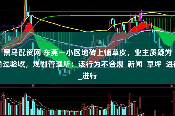 黑马配资网 东莞一小区地砖上铺草皮，业主质疑为通过验收，规划管理所：该行为不合规_新闻_草坪_进行